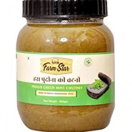 Indian Green Mint Chutney (Pudina Chutney) 500G