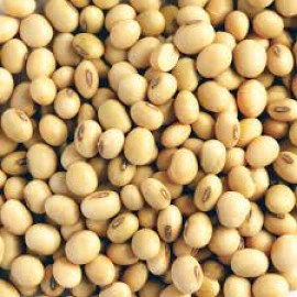 Soy Beans (1kg)