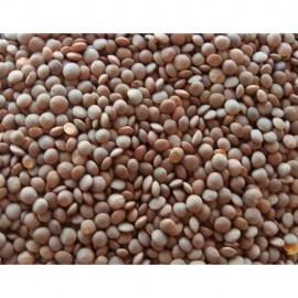 Whole Masoor Dal 500G