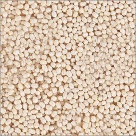 Whole White Urad Dal (500g)